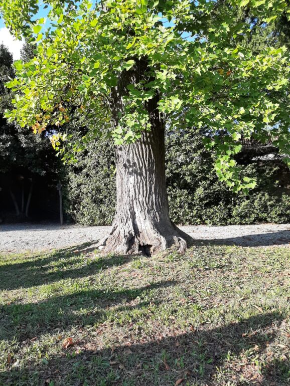 Parco Di Masino8 051024